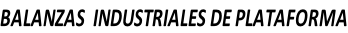 BALANZAS  INDUSTRIALES DE PLATAFORMA